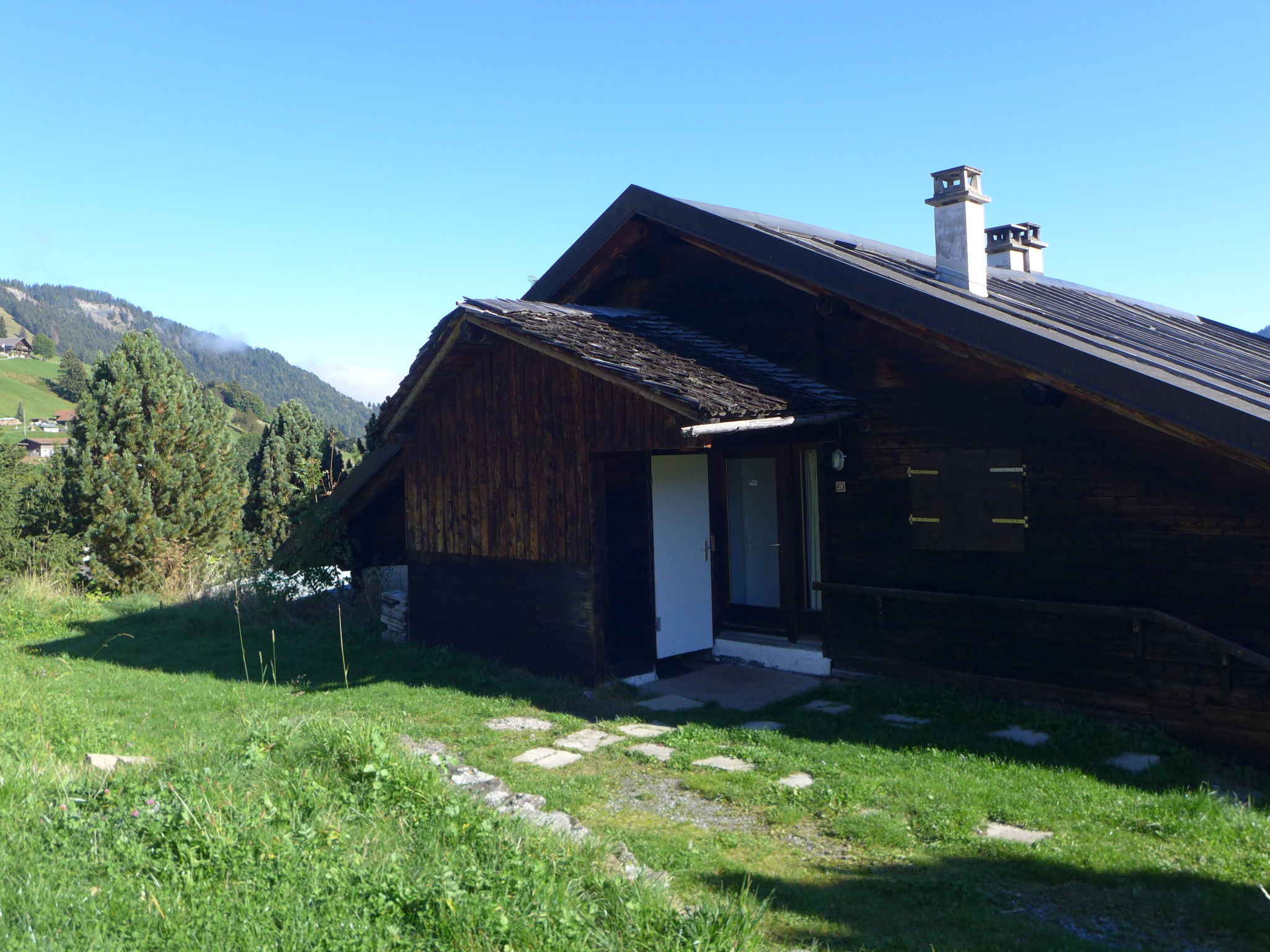 Foto 37 - Casa con 13 camere da letto a Champéry con giardino e sauna