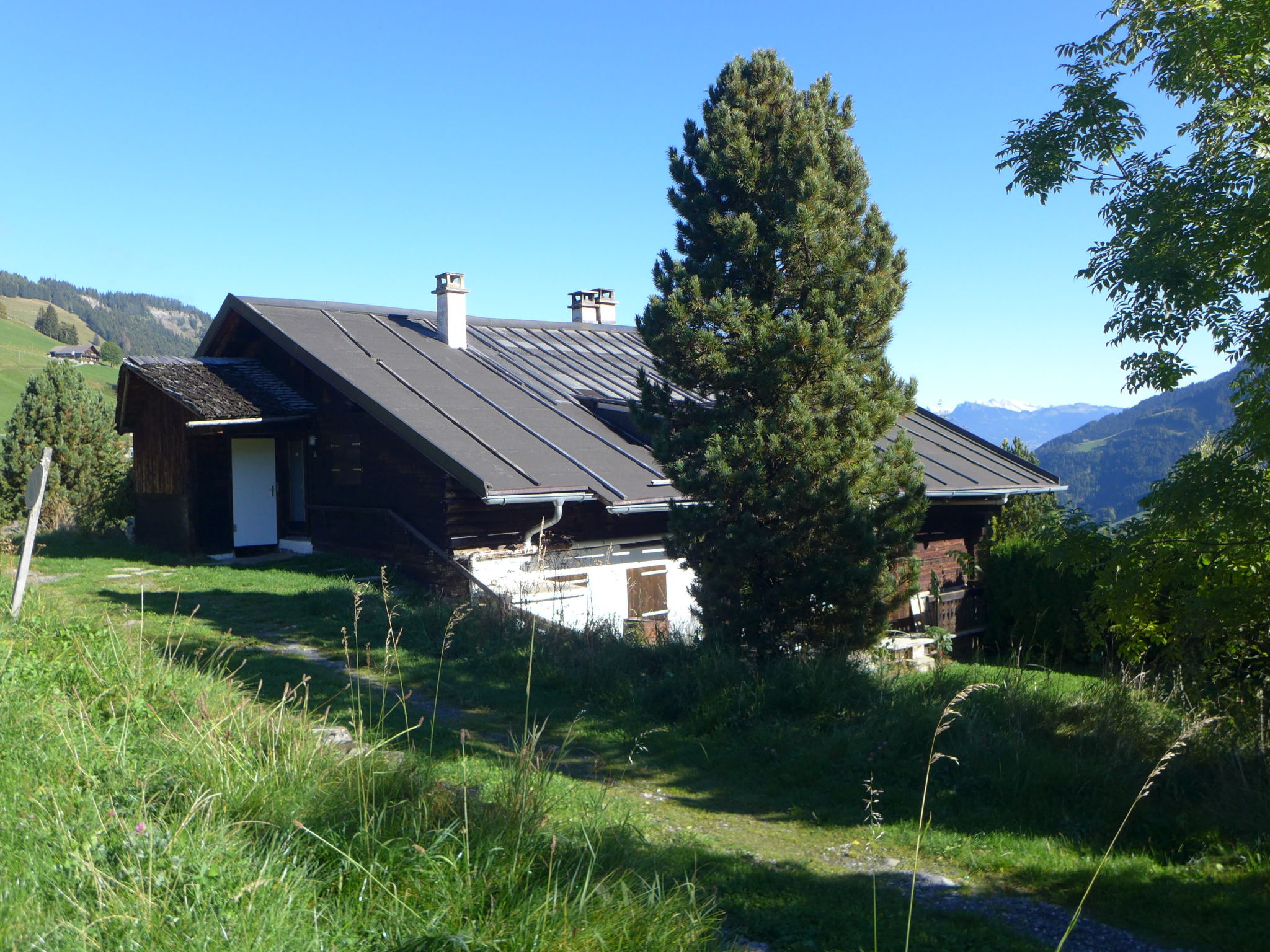 Foto 27 - Appartamento con 8 camere da letto a Champéry con giardino e sauna