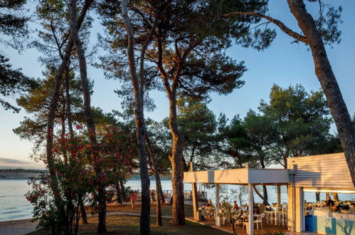 Photo 18 - Maison de 2 chambres à Tar-Vabriga avec piscine et vues à la mer