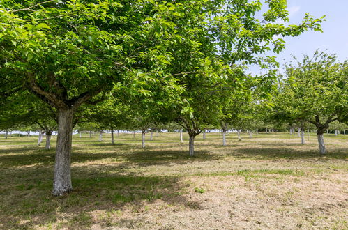 Foto 17 - Appartamento con 1 camera da letto a Guimaëc con piscina e giardino