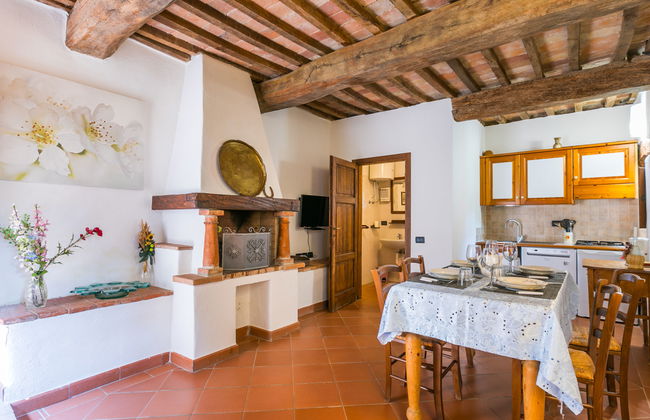 3 bedroom Apartment in Castelnuovo di Val di Cecina with swimming pool and garden - Photo 6
