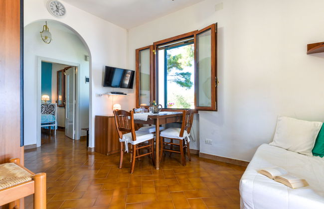 Casa de 2 quartos em Rio com jardim e terraço - Foto 11