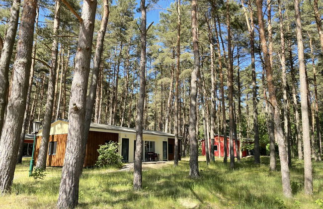 Casa de 2 quartos em Silz com jardim e terraço - Foto 11