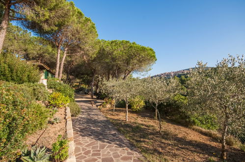 Photo 31 - 1 bedroom House in Capoliveri with garden and terrace