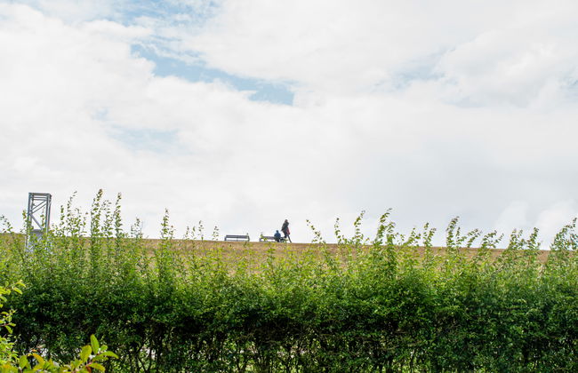 Apartamento de 1 quarto em Norden com jardim e terraço - Foto 25