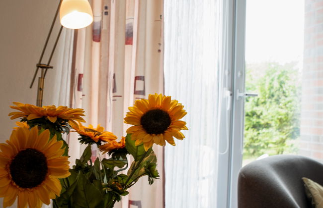 Apartamento de 1 quarto em Norden com jardim e terraço - Foto 12