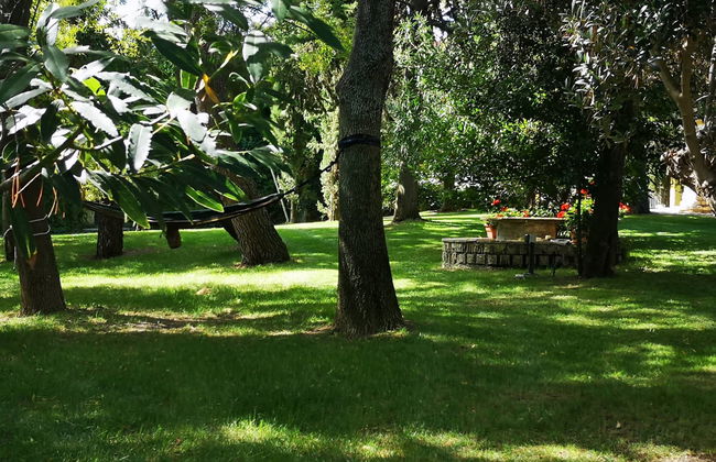 Casa de 7 quartos em Casalbordino com piscina e jardim - Foto 34
