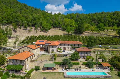 Foto 1 - Apartamento de 1 quarto em Cortemilia com piscina e jardim