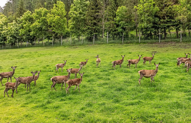 Casa de 3 quartos em Heiligenblut am Großglockner com jardim e terraço - Foto 31