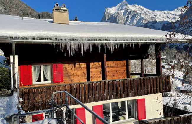 Apartamento de 4 quartos em Grindelwald com terraço - Foto 29
