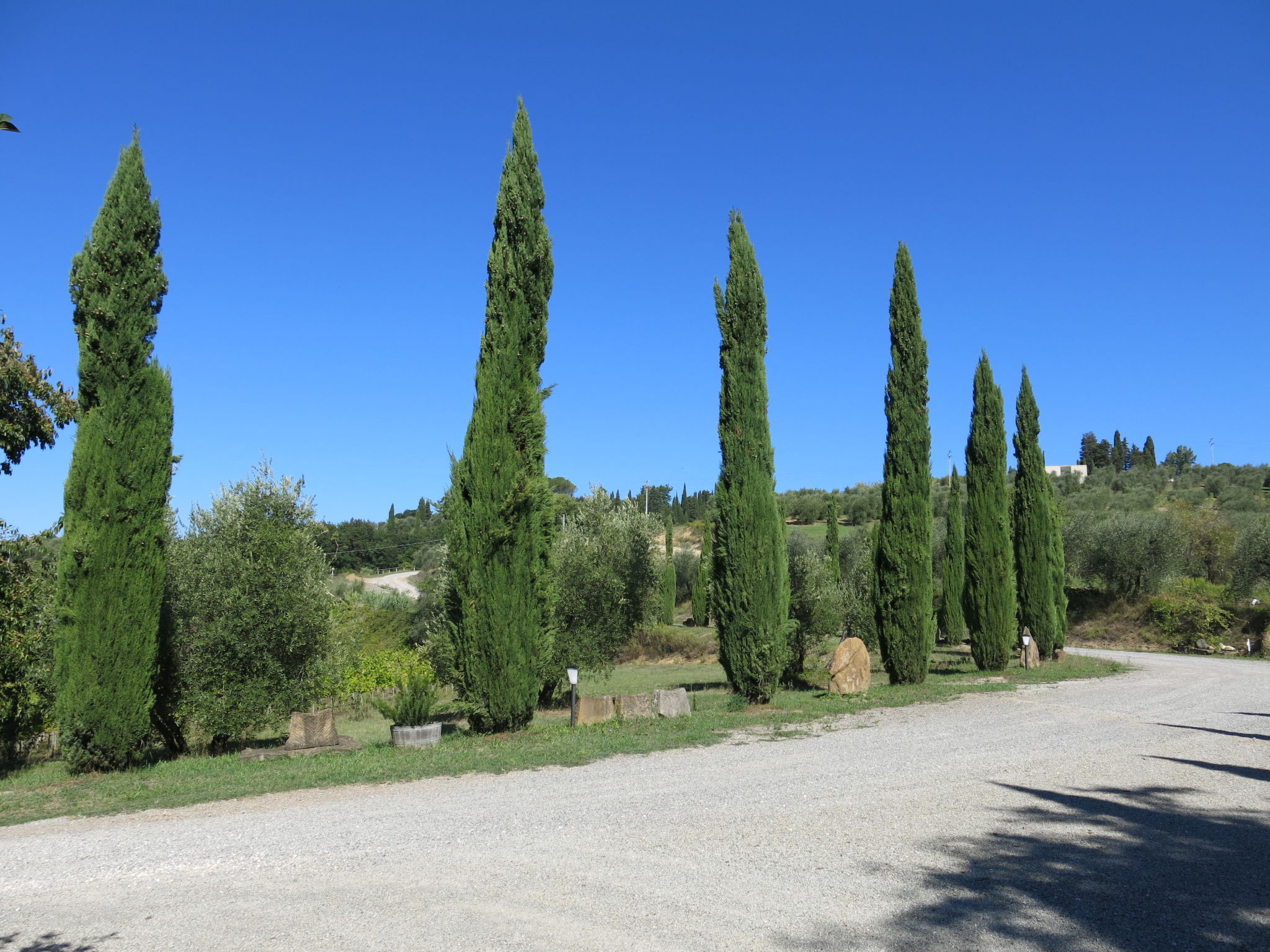 Foto 31 - Appartamento con 2 camere da letto a Peccioli con piscina e giardino