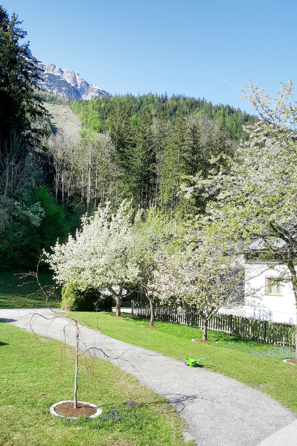 Photo 31 - Maison de 5 chambres à Mitterberg-Sankt Martin avec jardin et terrasse