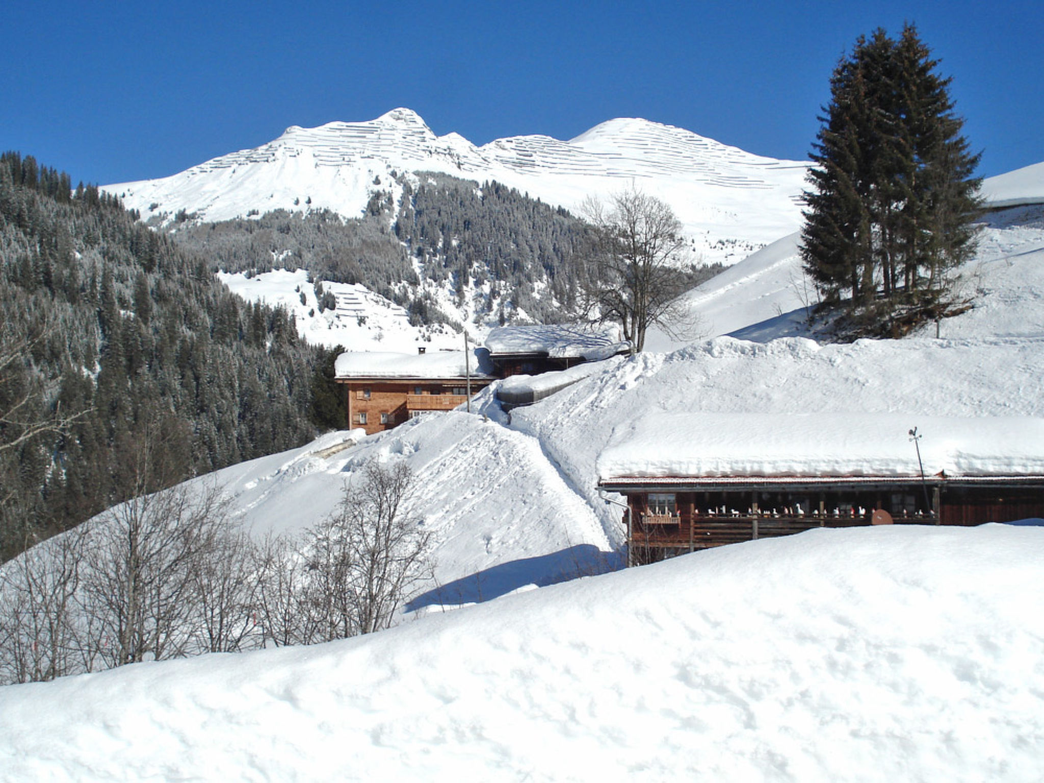 Foto 2 - Appartamento con 2 camere da letto a Luzein con vista sulle montagne