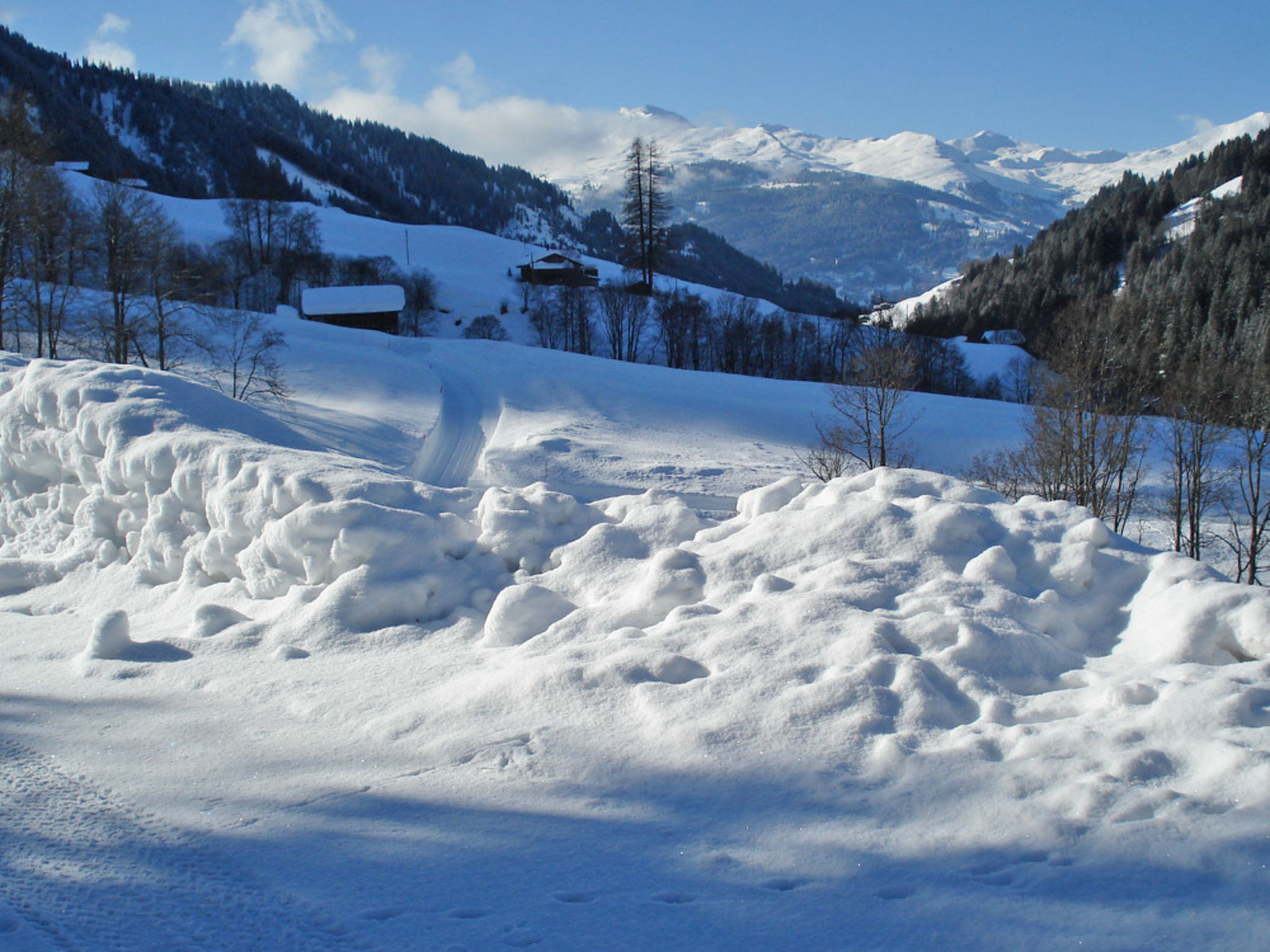 Foto 3 - Appartamento con 2 camere da letto a Luzein con vista sulle montagne