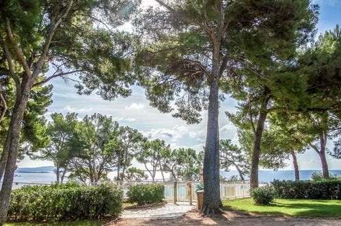 Photo 19 - Appartement en Bandol avec piscine et jardin