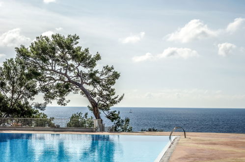 Photo 18 - Appartement en Bandol avec piscine et vues à la mer