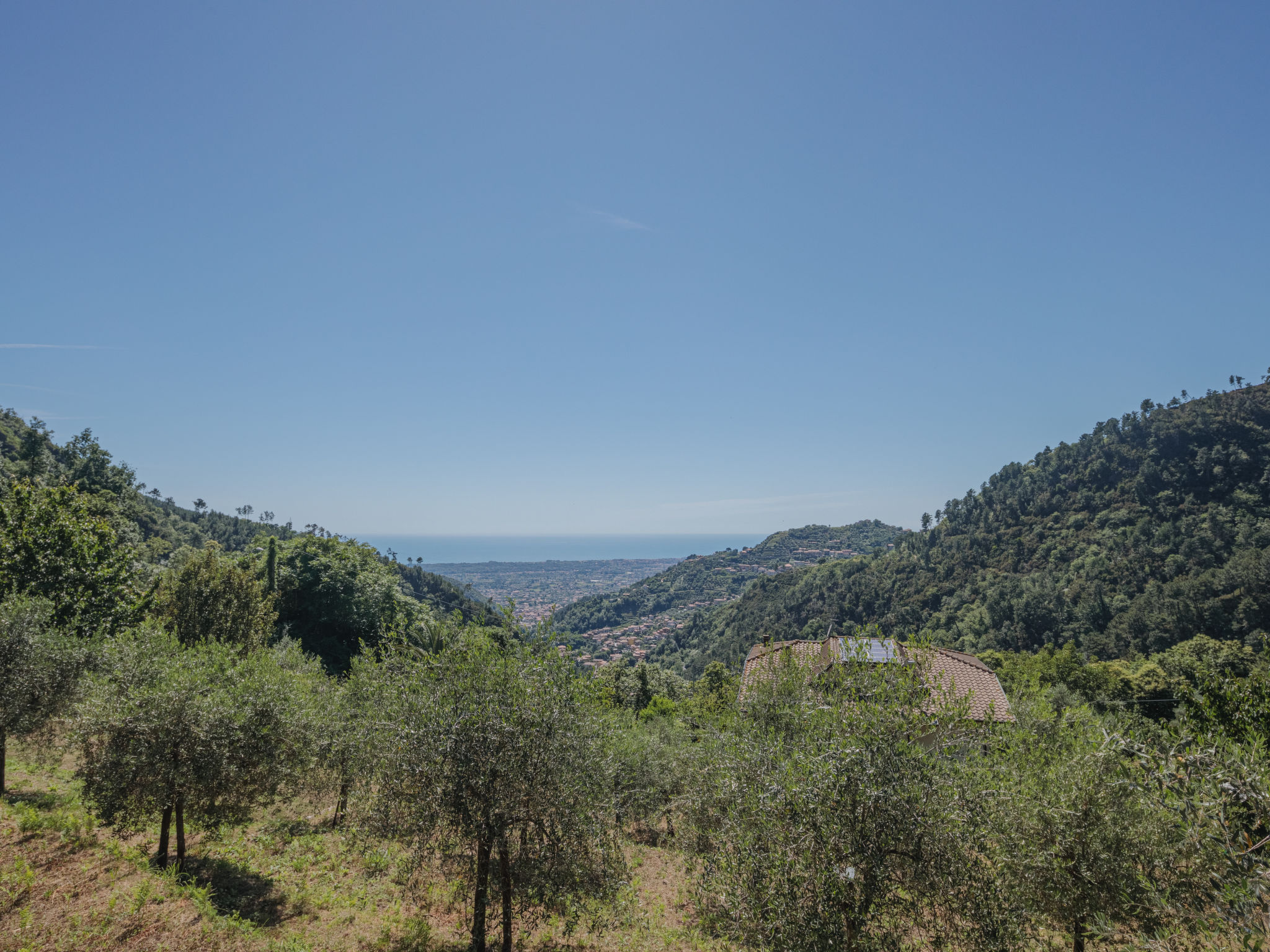 Photo 37 - 2 bedroom House in Montignoso with garden and sea view