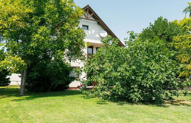 Casa de 8 quartos em Balatonfenyves com jardim e terraço - Foto 25