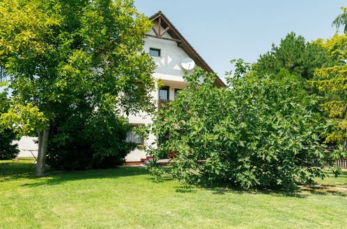 Foto 25 - Casa con 6 camere da letto a Balatonfenyves con giardino e terrazza