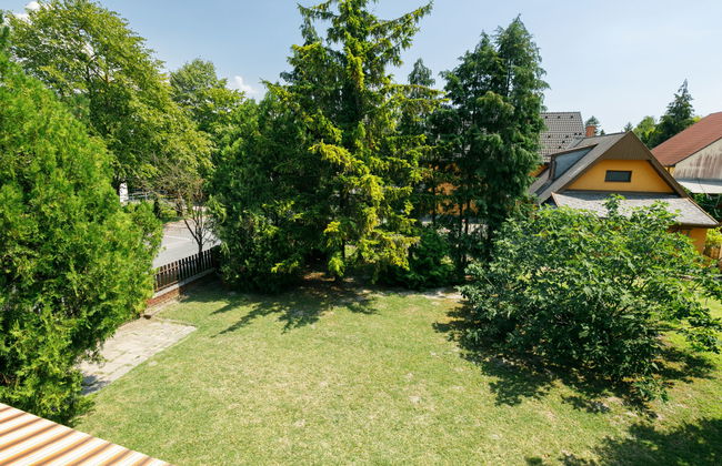 Casa de 8 quartos em Balatonfenyves com jardim e terraço - Foto 23