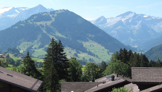 Apartamento de 2 quartos em Saanen - Foto 2