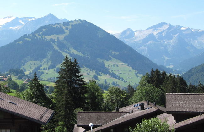 Apartamento de 2 quartos em Saanen - Foto 2