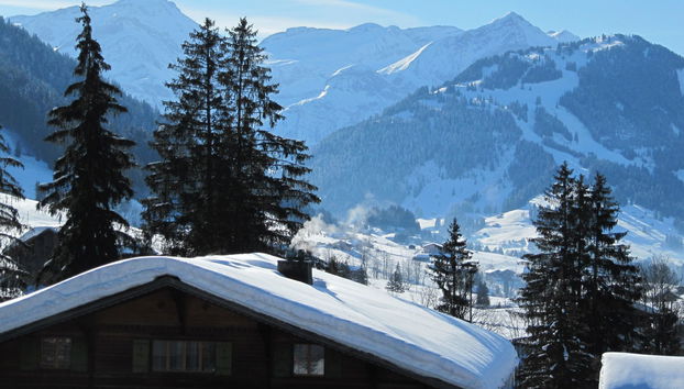 Apartamento de 2 quartos em Saanen - Foto 3