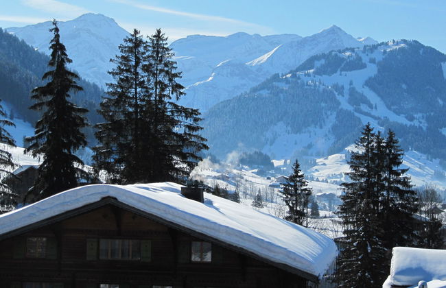 Apartamento de 2 quartos em Saanen - Foto 3