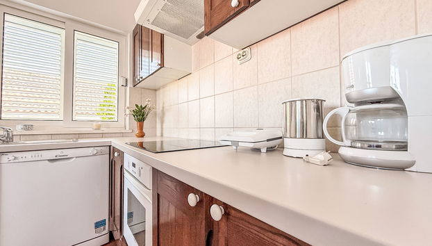 Appartamento con 4 camere da letto a Jasenice con giardino - Foto 5