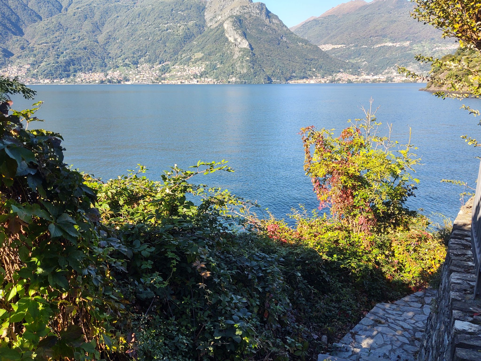 Foto 22 - Appartamento con 2 camere da letto a Dorio con terrazza e vista sulle montagne