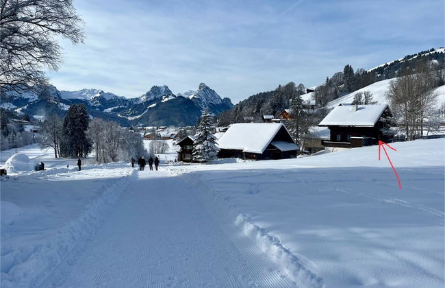 Apartamento de 3 quartos em Saanen - Foto 9