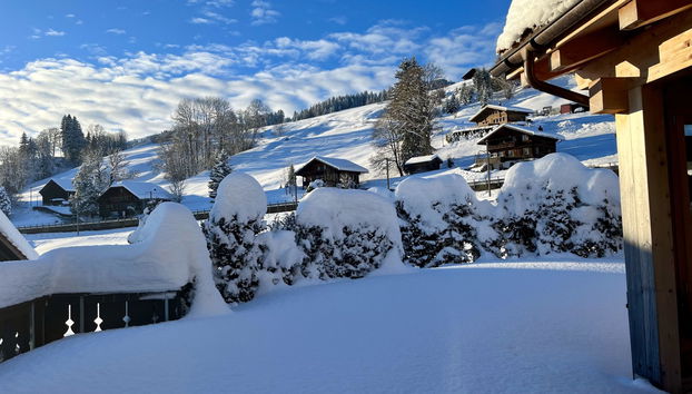 Apartment mit 3 Schlafzimmern in Saanen - Foto 5