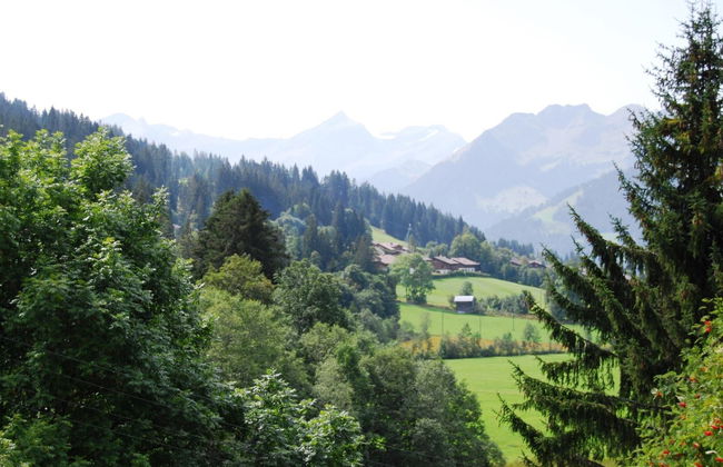 Apartamento de 3 quartos em Saanen - Foto 10