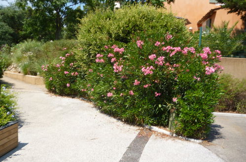 Foto 19 - Apartamento de 1 habitación en Grimaud con piscina y jardín