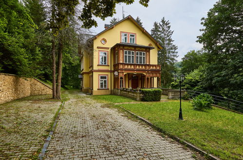 Foto 50 - Apartment in Janské Lázně mit garten