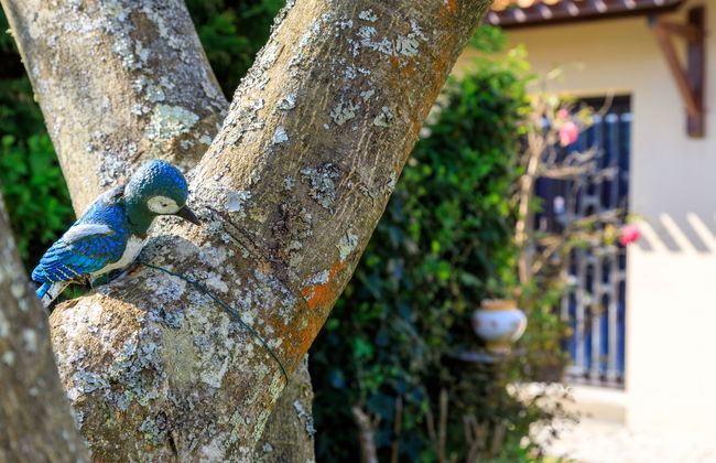 Casa de 4 quartos em La Plaine-sur-Mer com jardim e terraço - Foto 5