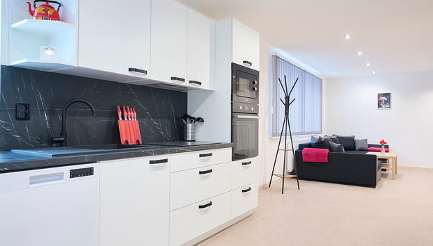 Appartement de 2 chambres à Desná avec piscine et jardin - Photo 4