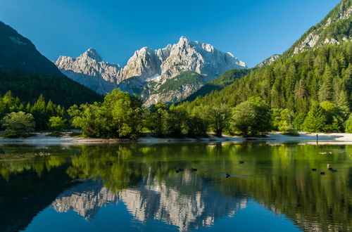 Foto 24 - Casa con 4 camere da letto a Kranjska Gora con terrazza