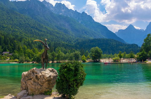 Foto 19 - Casa de 4 quartos em Kranjska Gora com terraço