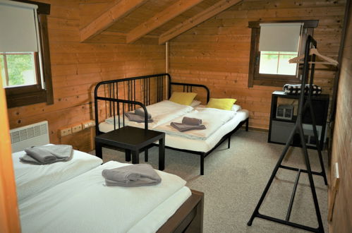 Foto 9 - Casa con 2 camere da letto a Dolní Branná con terrazza e sauna