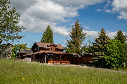 Foto 18 - Casa con 2 camere da letto a Dolní Branná con terrazza e sauna