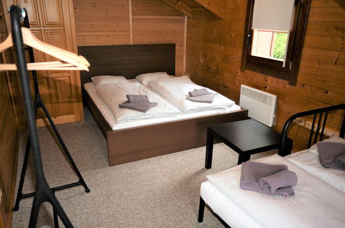 Foto 10 - Casa con 2 camere da letto a Dolní Branná con terrazza e sauna