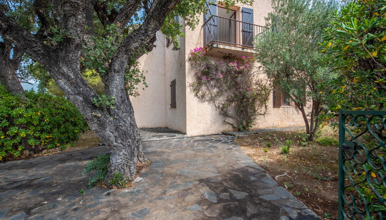 Photo 1 - Maison de 4 chambres à Cavalaire-sur-Mer avec jardin et terrasse