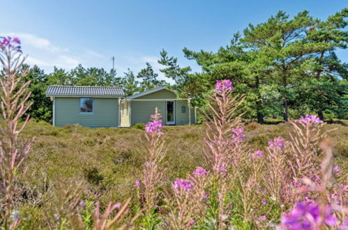 Foto 7 - Casa de 2 quartos em Vesterø Havn com terraço