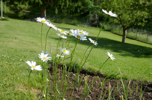 Foto 18 - Appartamento con 1 camera da letto a Blenio con giardino