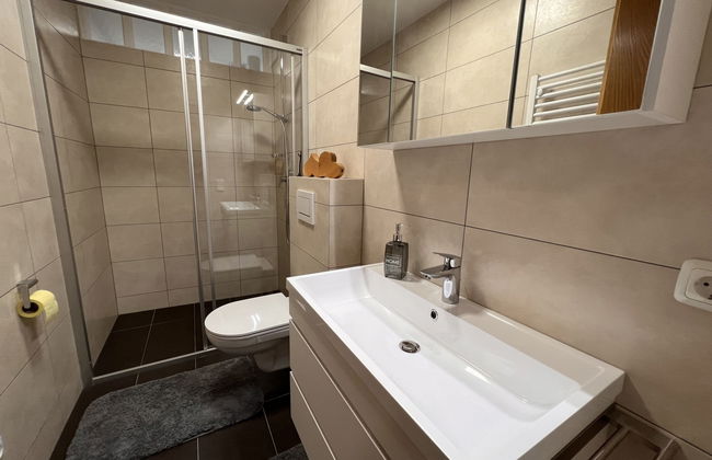 Apartamento de 1 quarto em Saalbach-Hinterglemm - Foto 6