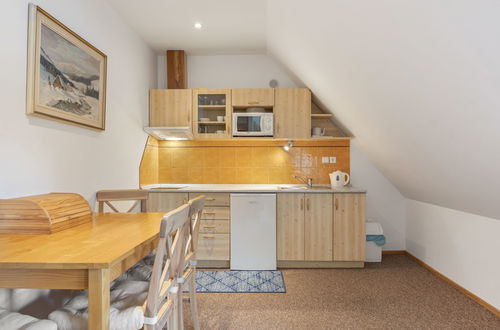 Foto 50 - Casa con 4 camere da letto a Harrachov con giardino e terrazza