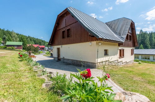 Foto 39 - Casa con 4 camere da letto a Harrachov con giardino e terrazza