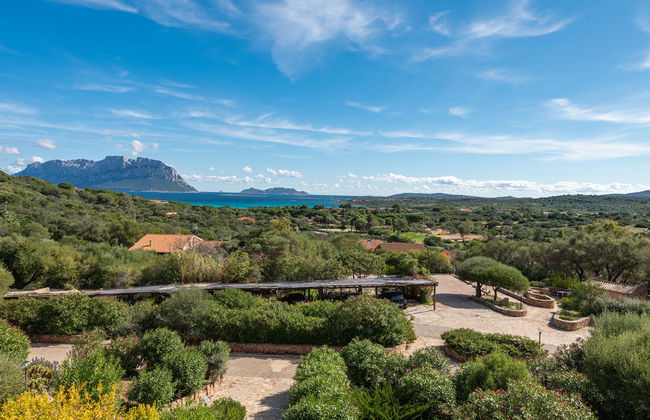 Apartamento de 1 quarto em Olbia com terraço - Foto 32