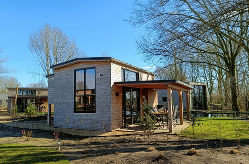 Foto 1 - Casa em Hulshorst com piscina e terraço